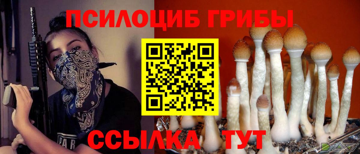 Псилоцибиновые грибы MAGIC MUSHROOMS  Вход с VPN  Конаково 